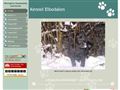 Puppies for sale from http://www.kennel-elbodalen.dk/8994292