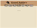 Puppies for sale from http://www.bracco-italiano.dk/test2/asp/hundene.asp