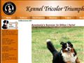 Puppies for sale from http://www.tricolor-triumph.com/index.php?c=9&kat=Valper