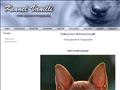 Puppies for sale from http://www.kennelvanilli.com/valper.html