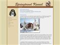 Puppies for sale from http://www.springtrend.no/