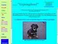 Puppies for sale from http://gejsinglund.dk