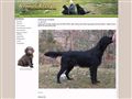 Puppies for sale from http://www.lireena.com/