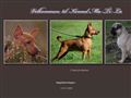 Puppies for sale from http://www.kennelmutila.com/nyside/kennelen.html
