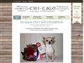 Puppies for sale from http://www.chi-cago.no/
