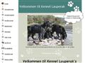 Puppies for sale from http://www.lauperak.dk/7919567