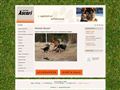 Puppies for sale from http://www.kennelascari.no/ascari/kj_p_salg/salg_hund/fox_terrier_valper_glatth_ret