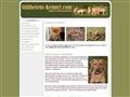Puppies for sale from http://www.stillhetens-kennel.com/index.php?option=com_content&task=view&id=13