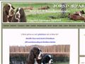 Puppies for sale from http://www.jorstorparenskennel.se