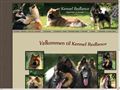 Puppies for sale from http://www.redlance.no