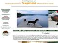 Puppies for sale from http://www.taxgemena.com