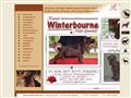 Puppies for sale from http://www.fieldspaniel.se