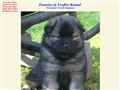 Puppies for sale from http://www.foxfire.se