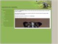 Puppies for sale from http://www.amouricas.se