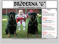 Puppies for sale from http://www.ryskasen.com/