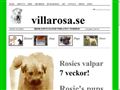 Puppies for sale from http://www.villarosa.se