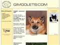 Puppies for sale from http://www.gimgolets.com/