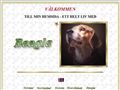 Puppies for sale from http://beaglar.com/