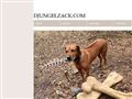 Puppies for sale from http://www.djungelzack.com/