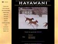Puppies for sale from http://www.hayawani.nu/