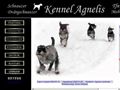 Puppies for sale from http://www.agnelis.com