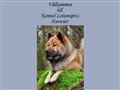 Puppies for sale from http://www.eurasier.se/