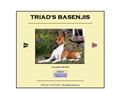 Puppies for sale from http://www.triads-basenjis.se/