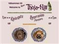 Puppies for sale from http://www.pomeranian.se/